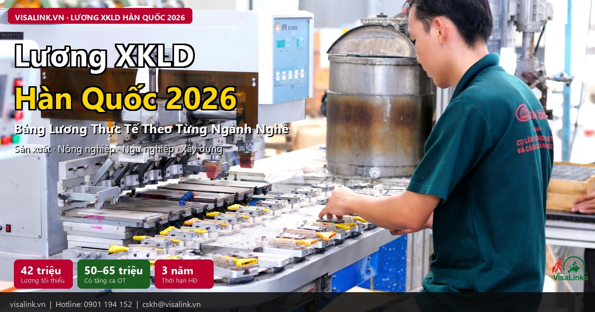 Lương XKLD Hàn Quốc 2026 – tối thiểu 42 triệu, OT đạt 65 triệu | Visalink