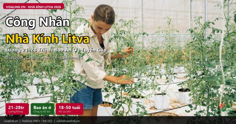 Công nhân nhà kính Litva 2026 – lương 21-28 triệu, bao ăn ở | Visalink
