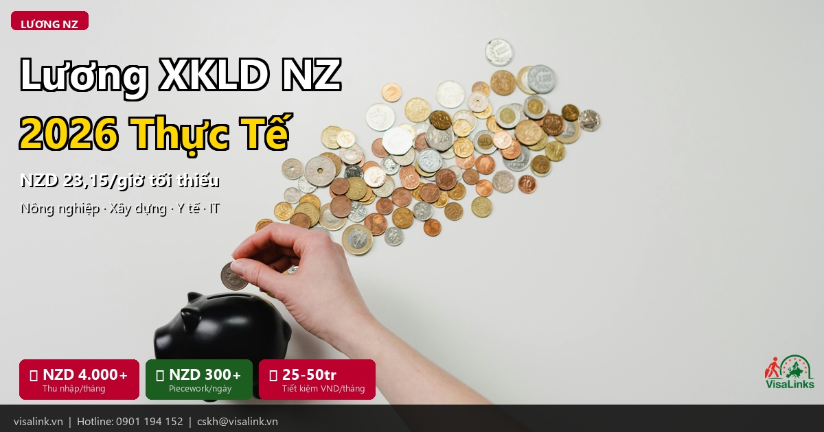 Lương XKLD New Zealand 2026: Thu Nhập Thực Tế Từng Ngành Nghề 1 Lương xuất khẩu lao động New Zealand 2026 theo từng ngành | Visalink