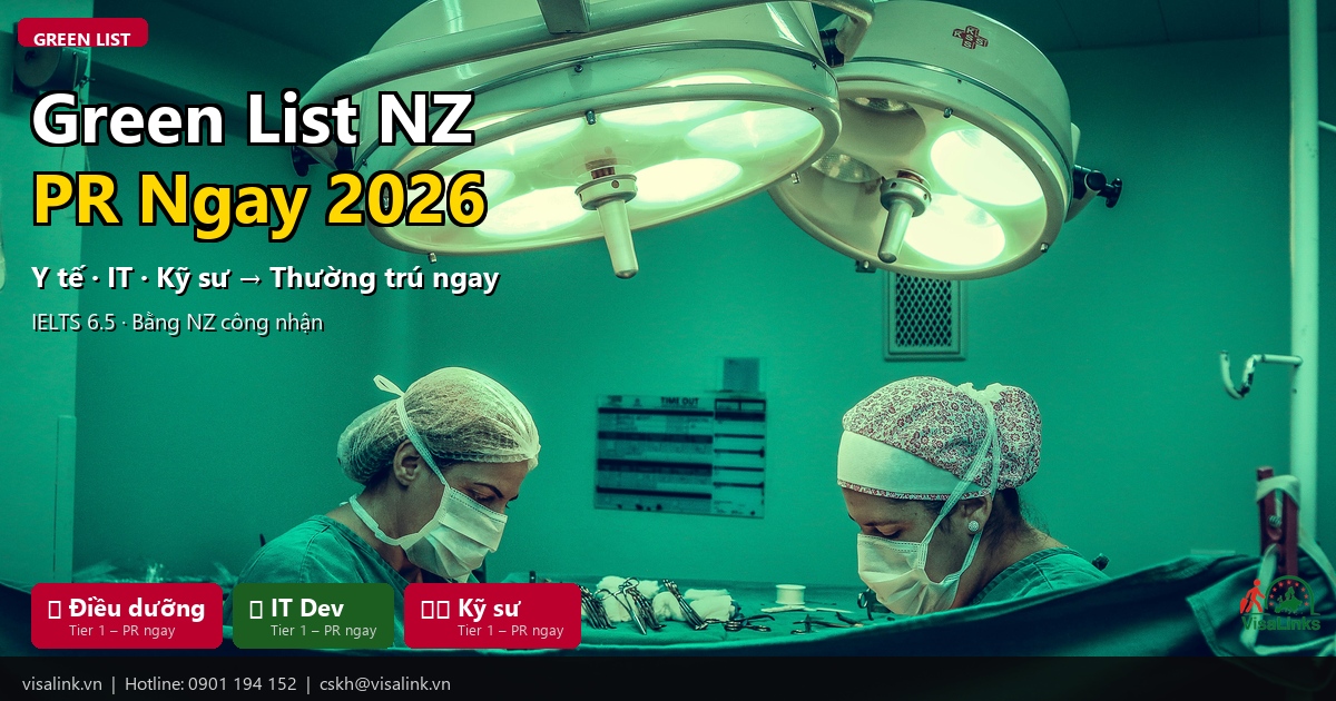 Điều kiện đi làm tại New Zealand 2026 – Kiểm tra WHV, AEWV, Green List | Visalink