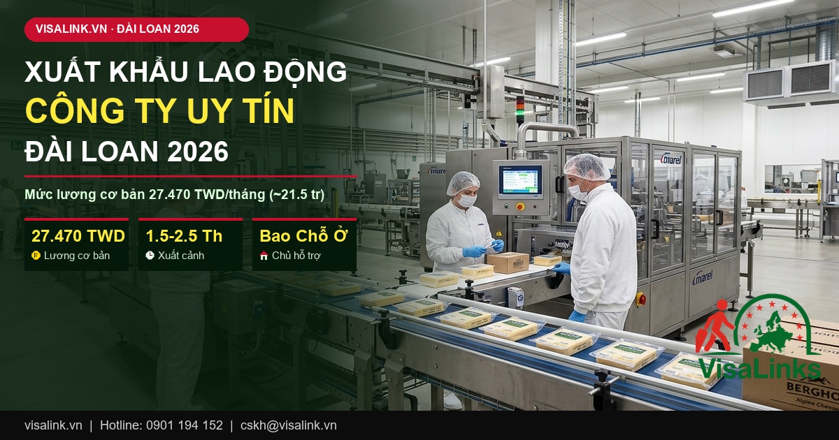 Tổng quan cẩm nang xuất khẩu lao động Đài Loan 2026 - Visalink