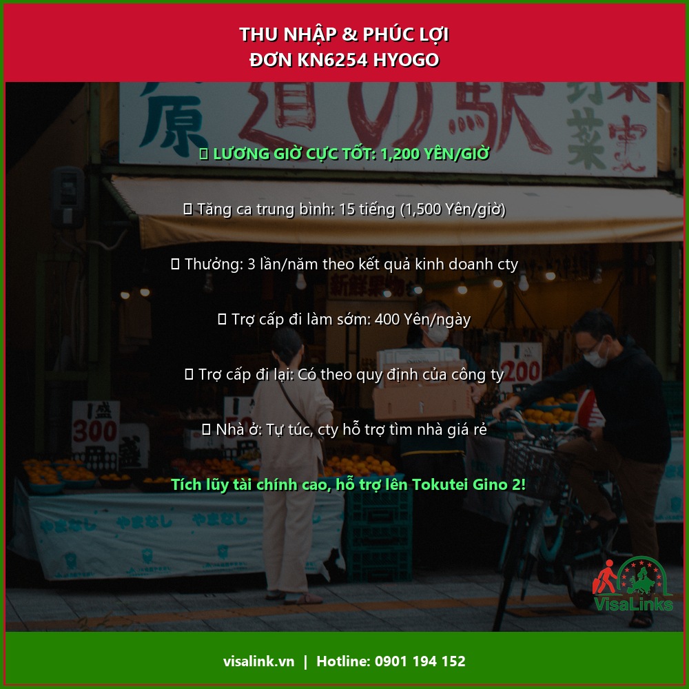 Chi tiết thu nhập đơn hàng sữa Hyogo KN6254