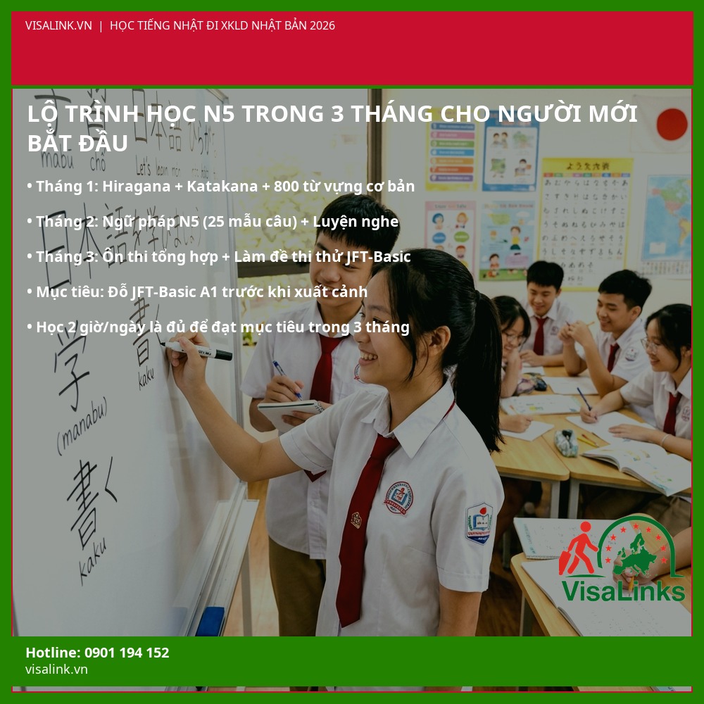 Lộ Trình Học Tiếng Nhật N5 3 Tháng Cho Người Mới Đi XKLD Nhật Bản 2026 – Visalink Lộ trình học tiếng Nhật N5 trong 3 tháng cho người mới bắt đầu đi XKLD Nhật Bản 2026 – Visalink