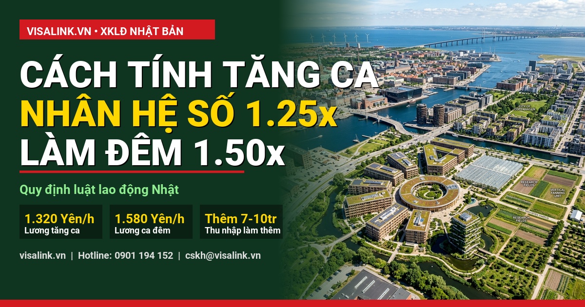 Đi Đan Mạch Lương Bao Nhiêu 2026? Bảng Thu Nhập Thực Lĩnh, Giờ Làm & Khả Năng Tích Lũy 2 đi đan mạch lương bao nhiêu bảng phân tích số liệu thực tế