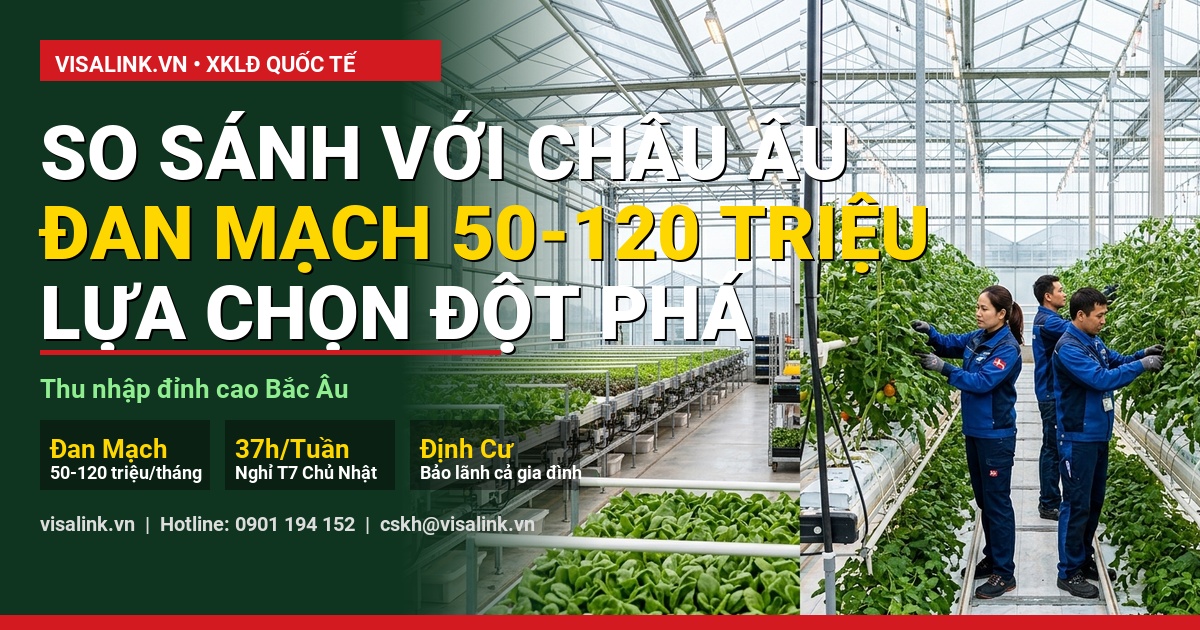 Đi Đan Mạch Lương Bao Nhiêu 2026? Bảng Thu Nhập Thực Lĩnh, Giờ Làm & Khả Năng Tích Lũy 4 đi đan mạch lương bao nhiêu kinh nghiệm thực tế từ học viên