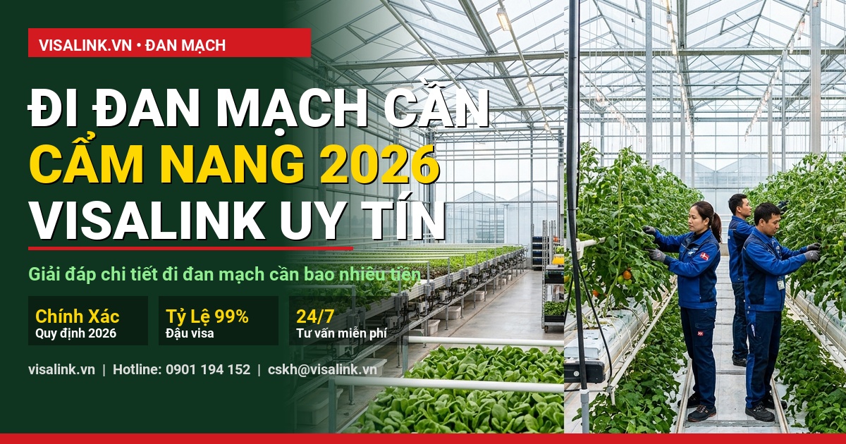 đi đan mạch cần bao nhiêu tiền quy trình thực hiện từng bước