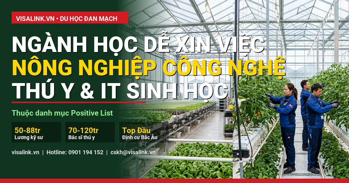du học đan mạch cần điều kiện gì kinh nghiệm thực tế từ học viên