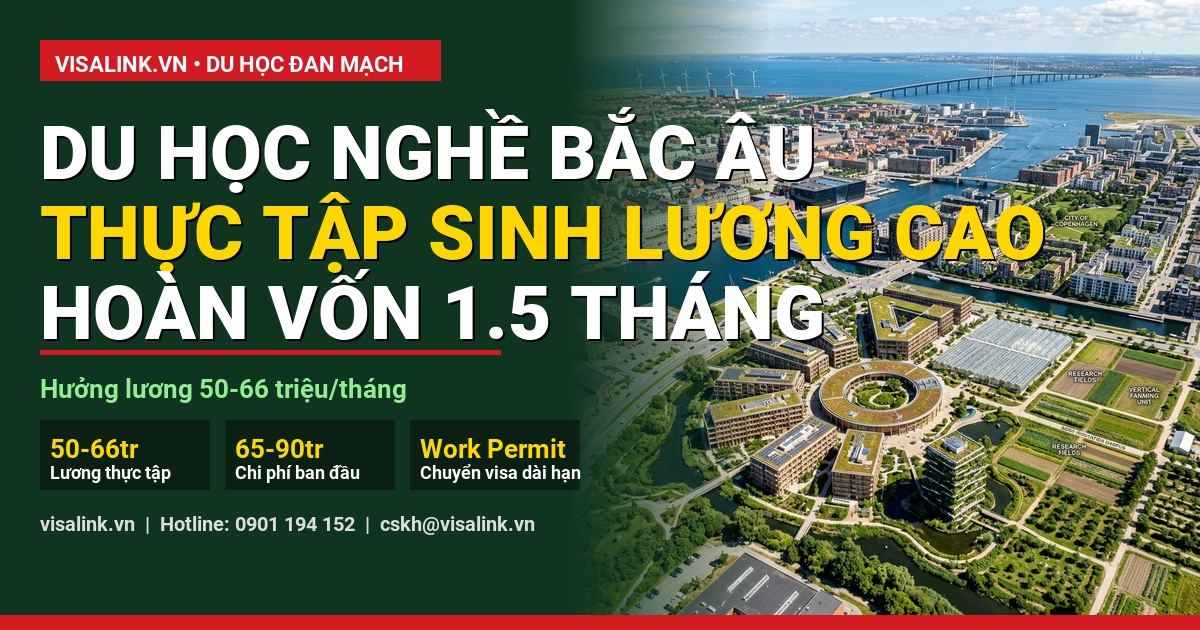 du học đan mạch cần điều kiện gì quy trình thực hiện từng bước