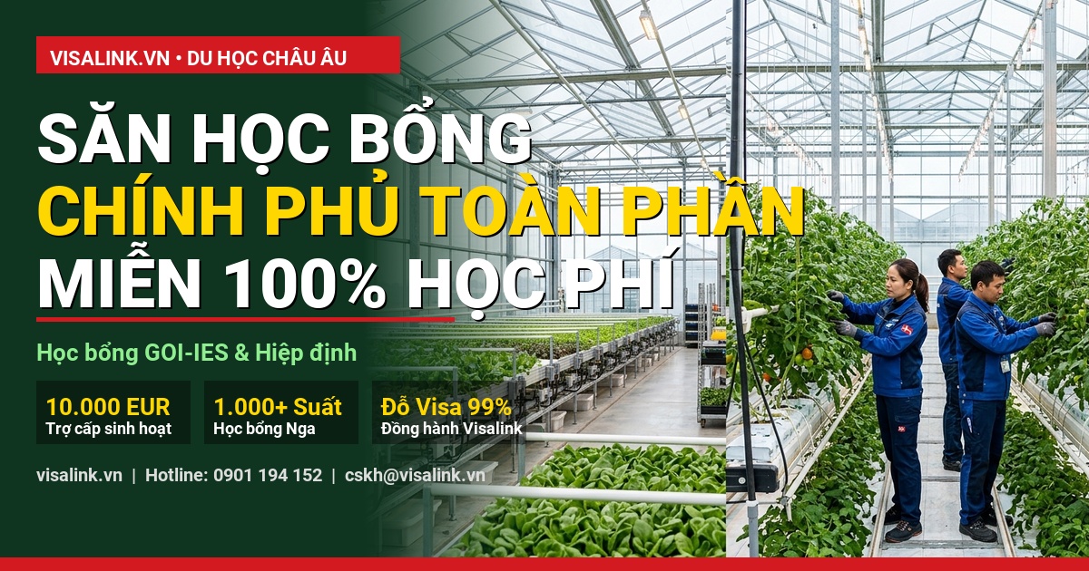 du học ireland cần những gì bảng phân tích số liệu thực tế