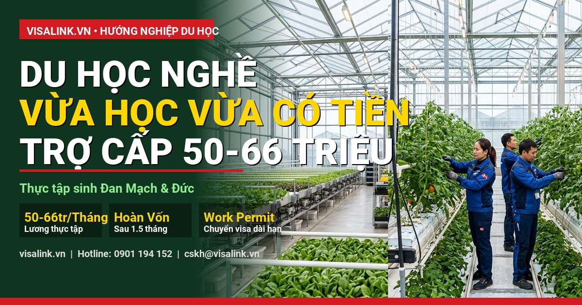 học ngành gì dễ đi du học & định cư quy trình thực hiện từng bước