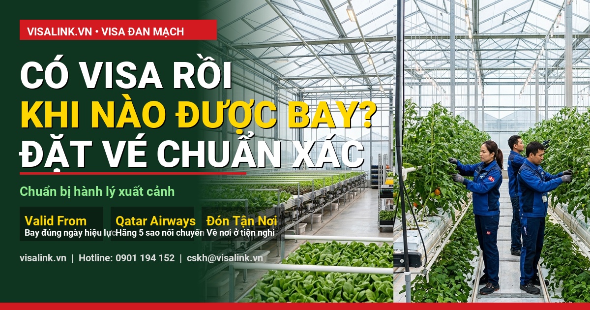 làm visa đan mạch mất bao lâu bảng phân tích số liệu thực tế