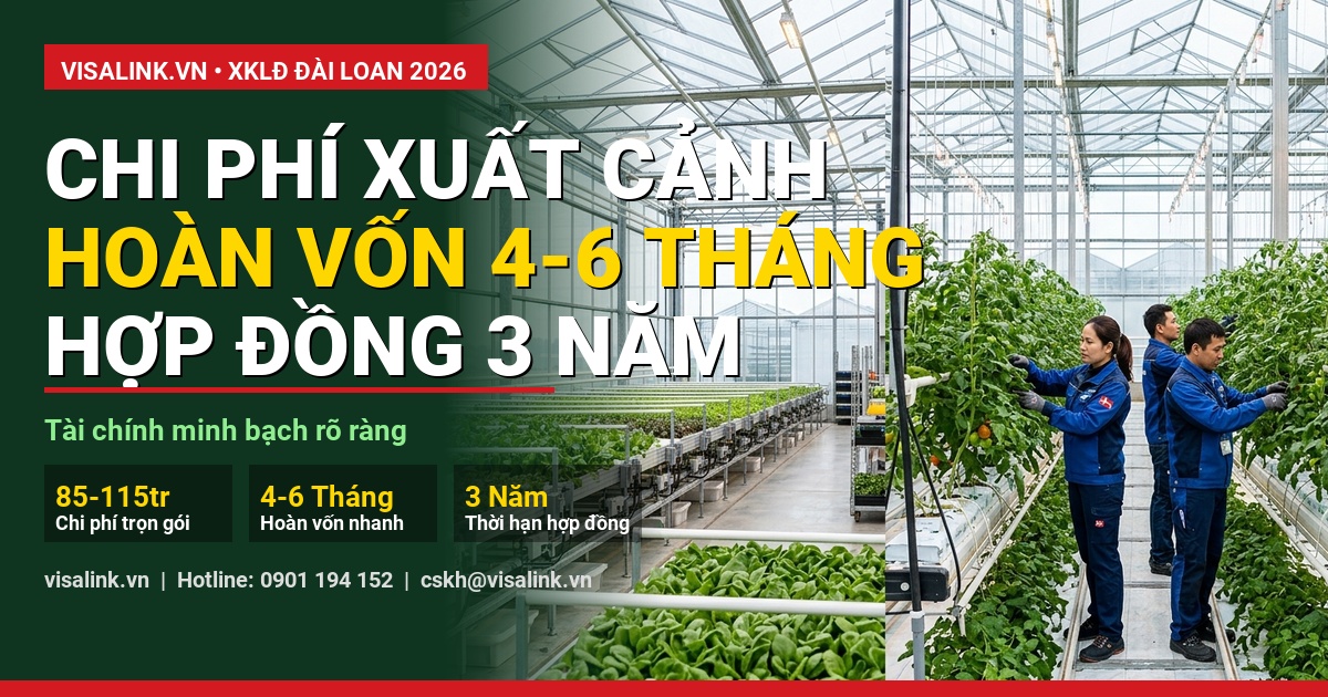 XKLĐ Đài Loan 1 Tháng Bao Nhiêu Tiền 2026? Lương Cơ Bản, Tăng Ca & Bảng Thu Nhập Thực Lĩnh 2 xklđ đài loan 1 tháng bao nhiêu tiền bảng phân tích số liệu thực tế