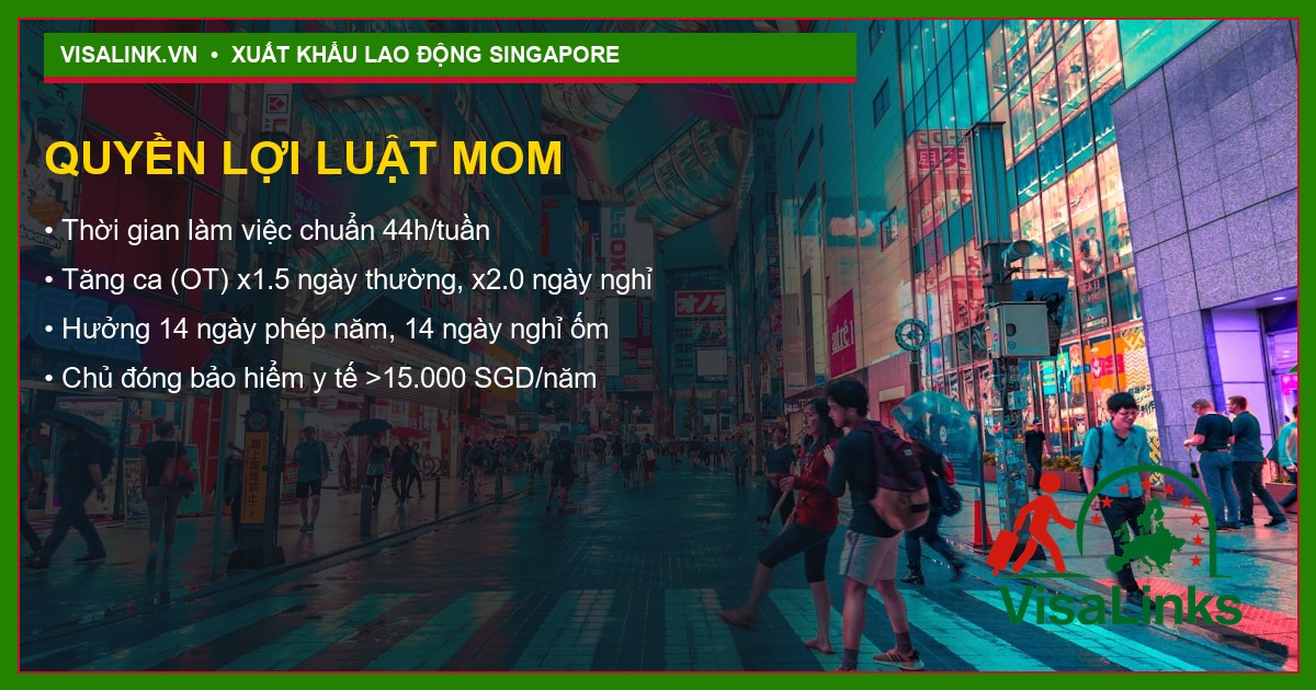 Tuyển Đầu Bếp Nấu Mì Tại Singapore 2026: Lương 2000 SGD + Bao Ăn Ở 4 Quy trình xuất cảnh Visalink