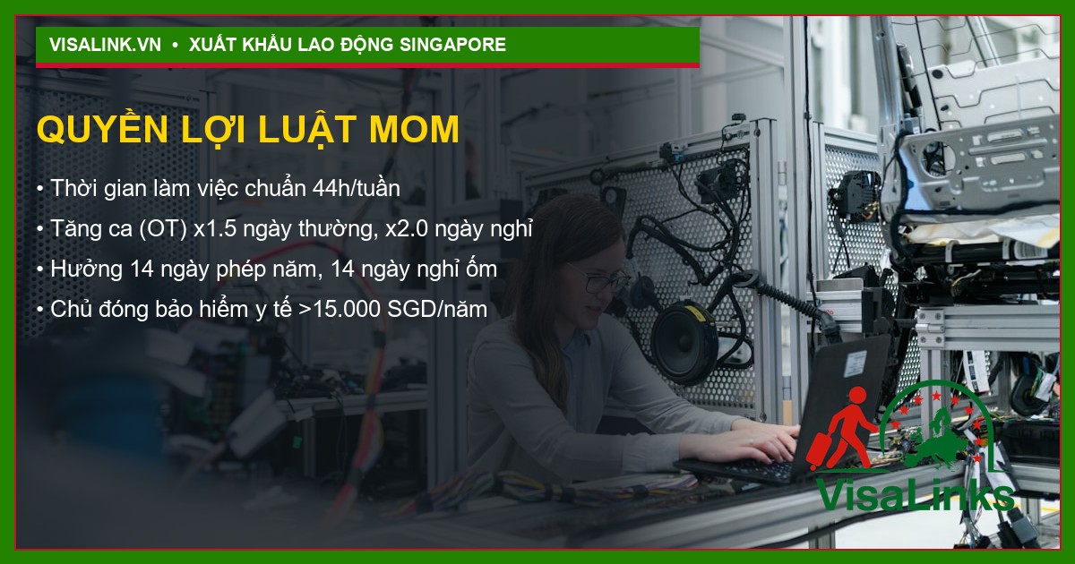 Tuyển Dụng Phụ Bếp Tại Singapore 2026 4 Quy trình xuất cảnh Visalink