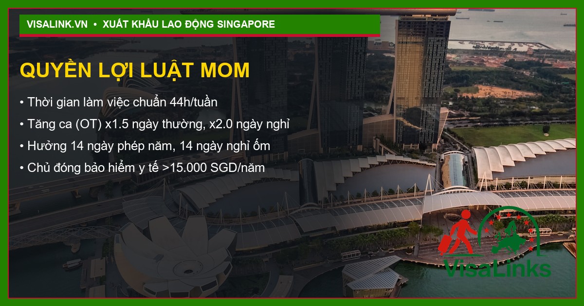 Tuyển Kỹ thuật viên Cơ điện tử Singapore 2026: Thu Nhập 43 Triệu + Bao Ở 4 Quy trình xuất cảnh 6 bước Visalink
