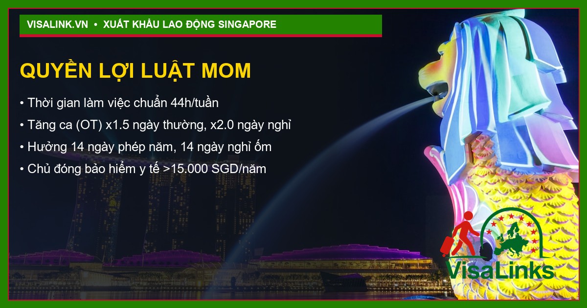 Tuyển Kỹ thuật viên Cơ khí Singapore 2026: Thu Nhập 43 Triệu + Bao Ở 4 Quy trình xuất cảnh 6 bước Visalink