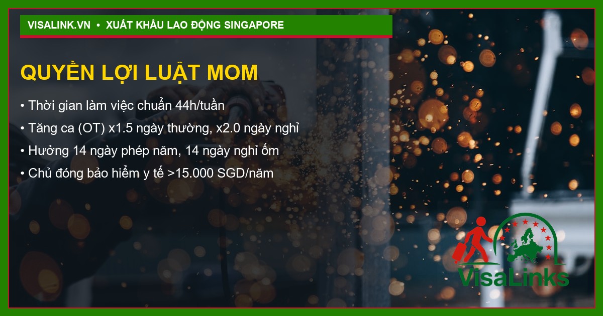 Quy trình xuất cảnh 6 bước Visalink