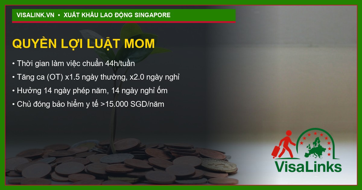 Quy trình xuất cảnh Visalink