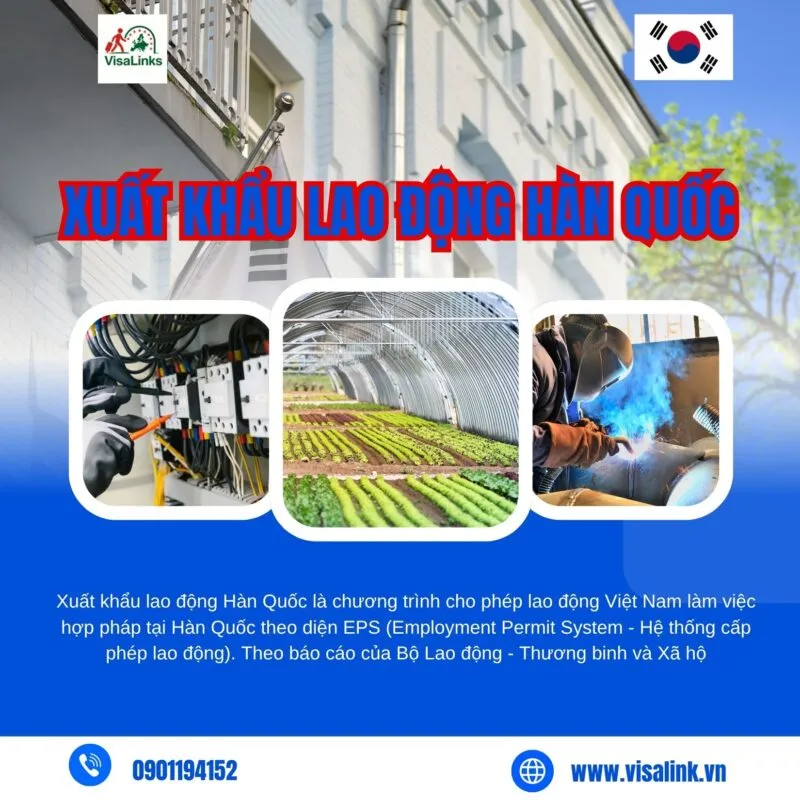Xuất Khẩu Lao Động Hàn Quốc - Chi Phí, Điều Kiện & Cơ Hội Việc Làm