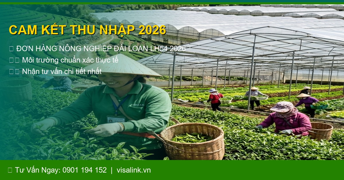 đơn hàng nông nghiệp đài loan lh54 2026 - Cuộc sống thực tế chuẩn xác