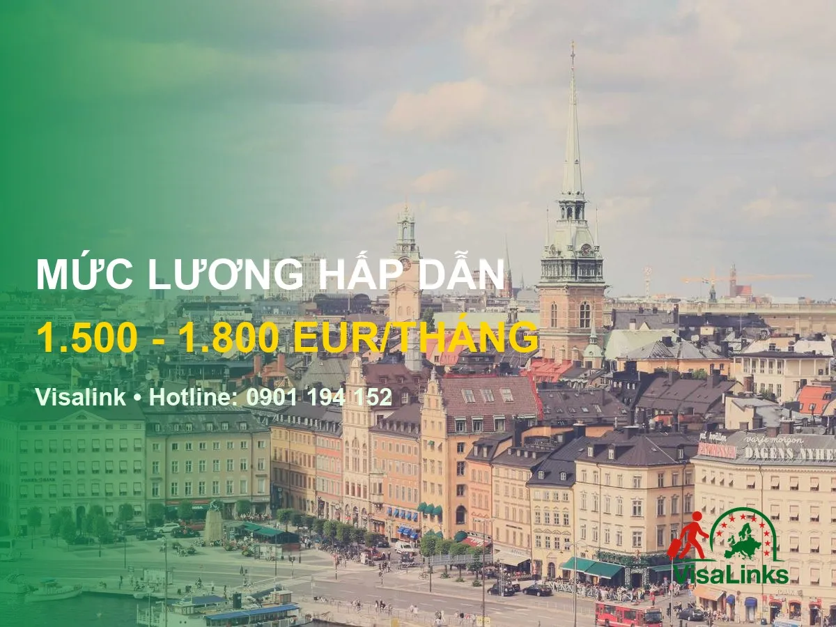 Chương trình thực tập sinh đức – hospitality traineeship - Visalink
