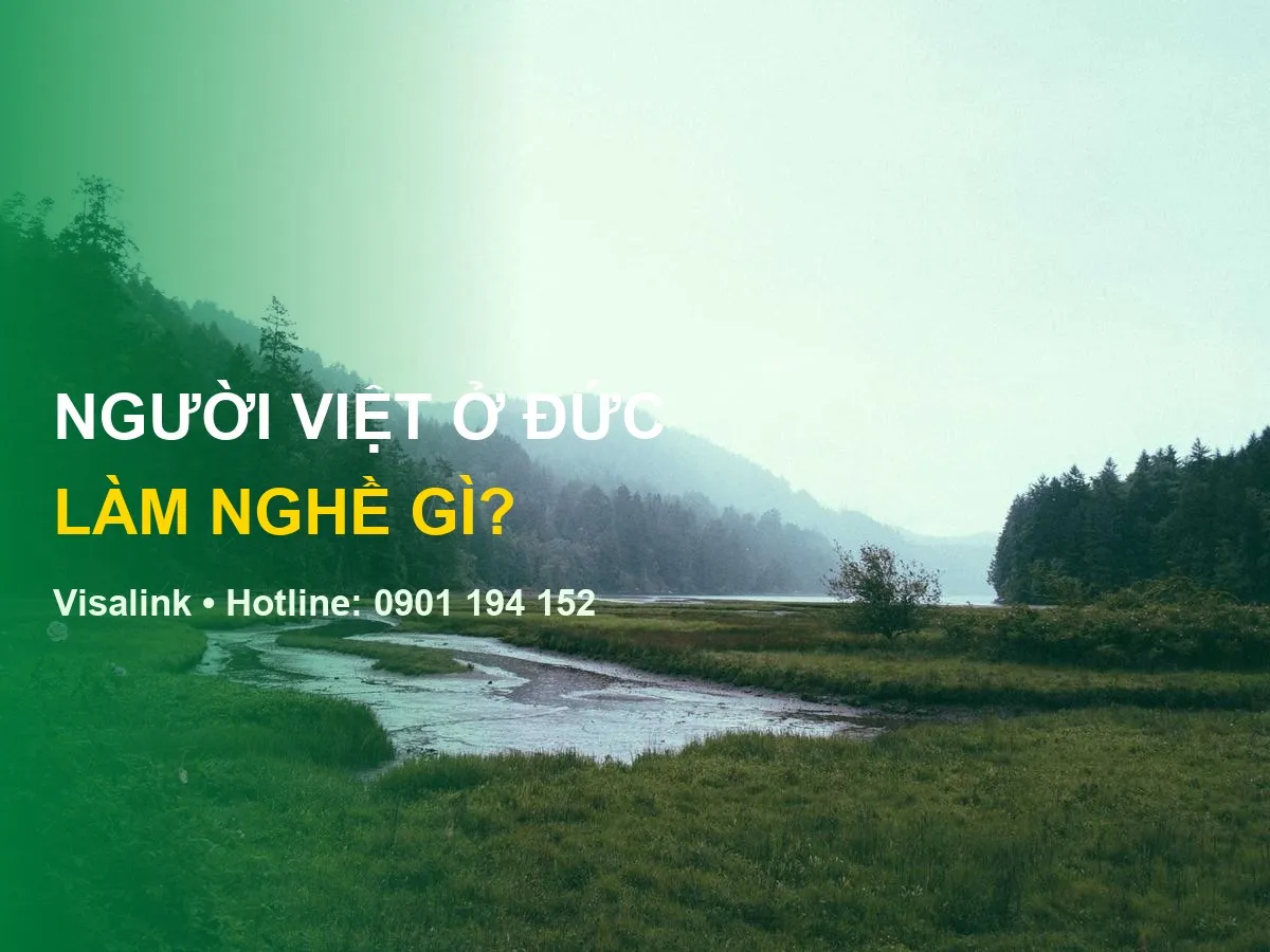 Cuộc Sống Người Việt Tại Đức (2026): Nghề Nghiệp, Thu Nhập & Sự Thật Đầy Đủ Nhất 2 Cuộc sống ở đức có tốt không - Visalink - NGƯỜI VIỆT Ở ĐỨC | LÀM NGHỀ GÌ?