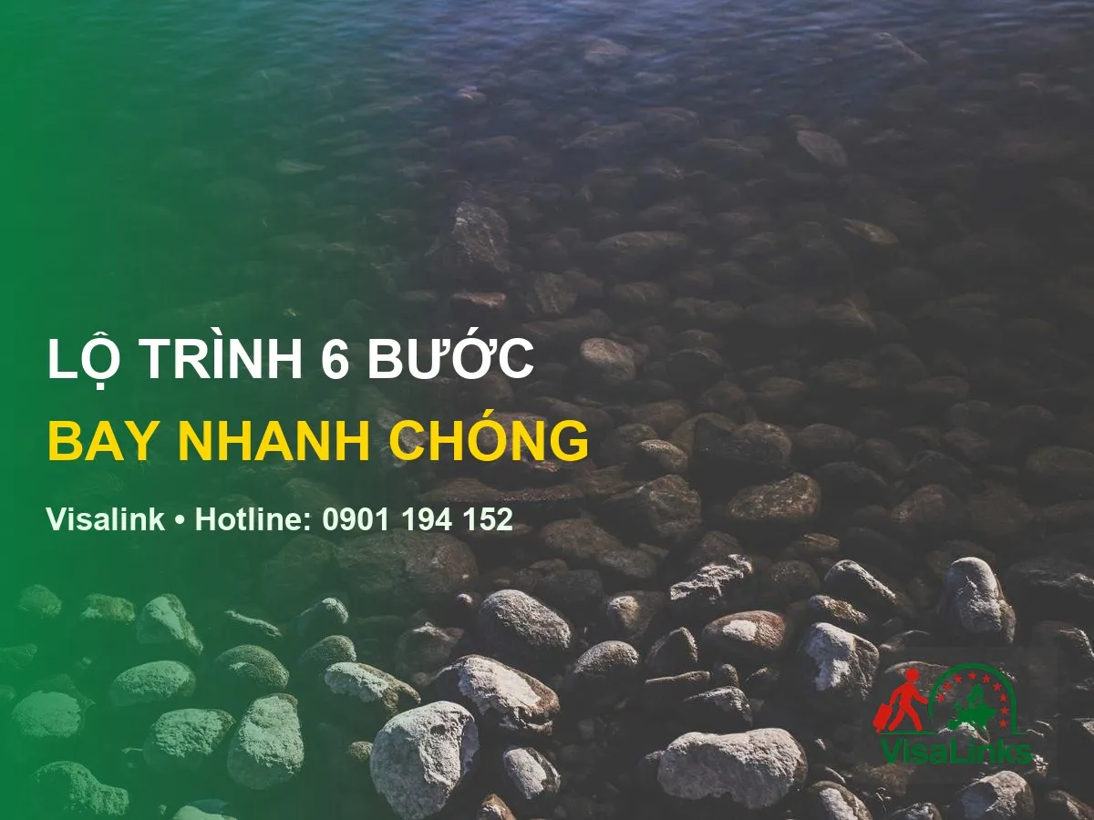 Thực Tập Sinh Ngành Chăn Nuôi Thú Y Tại Chlb Đức 2026 3 thực tập sinh ngành chăn nuôi thú y tại chlb đức 2026 – thú y tại chlb đức - Visalink