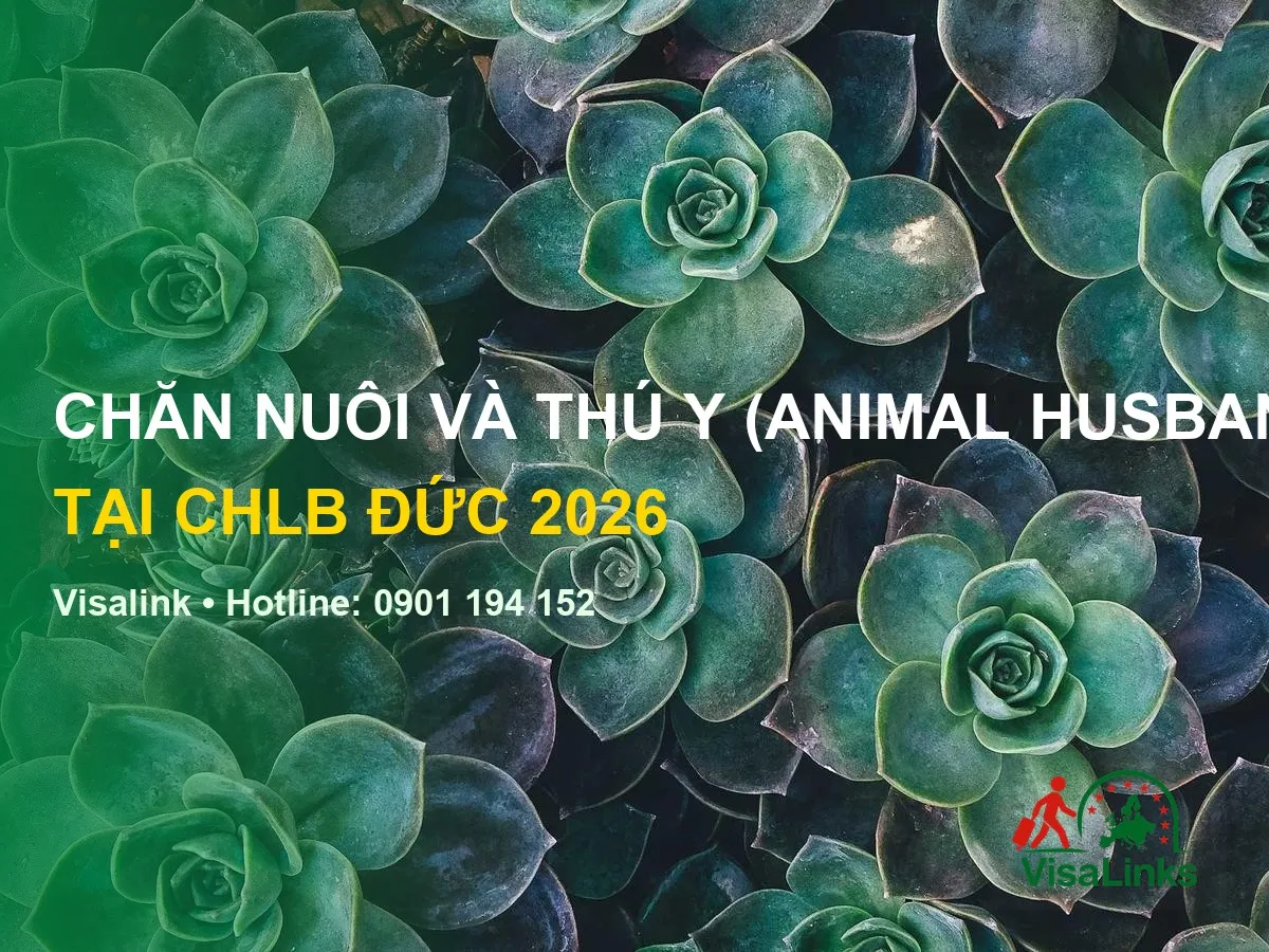 Thực Tập Sinh Ngành Chăn Nuôi Thú Y Tại Chlb Đức 2026 1 thực tập sinh ngành chăn nuôi thú y tại chlb đức 2026 – thú y tại chlb đức - Visalink