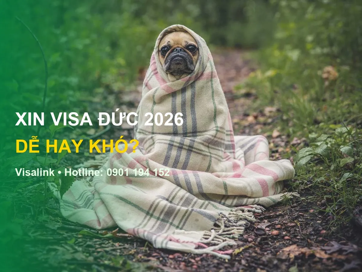 Xin visa đức dễ hay khó - Visalink - XIN VISA ĐỨC 2026 | DỄ HAY KHÓ?