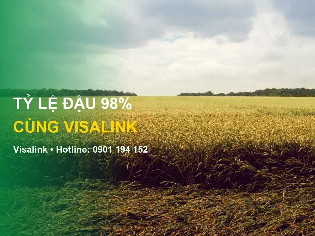 Xin visa đức dễ hay khó - Visalink - TỶ LỆ ĐẬU 98% | CÙNG VISALINK