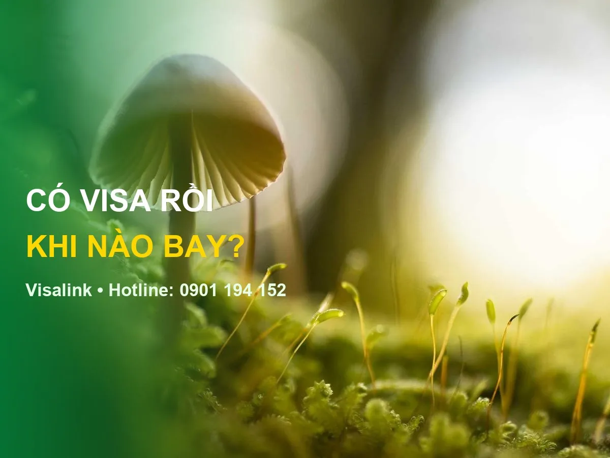 Xin visa đức dễ hay khó - Visalink - CÓ VISA RỒI | KHI NÀO BAY?