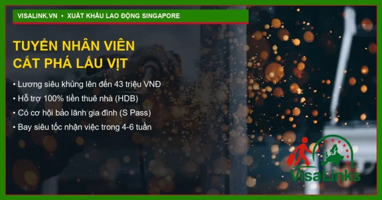 Nhan Vien Cat Pha Lau Vit banner 1