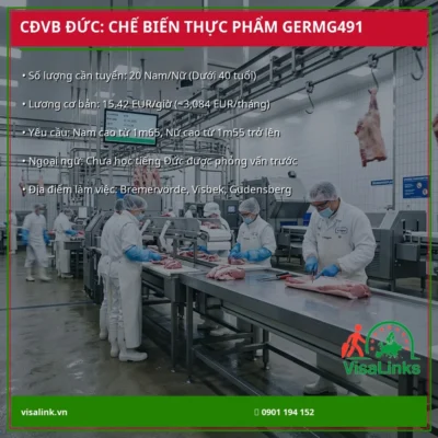 banner chuyen doi van bang duc che bien thuc pham germg491 phan 1 1