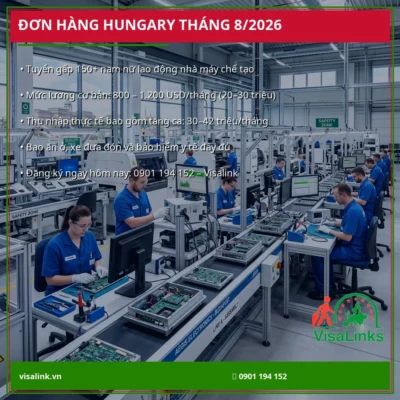 banner don hang hungary thang 8 tong quan