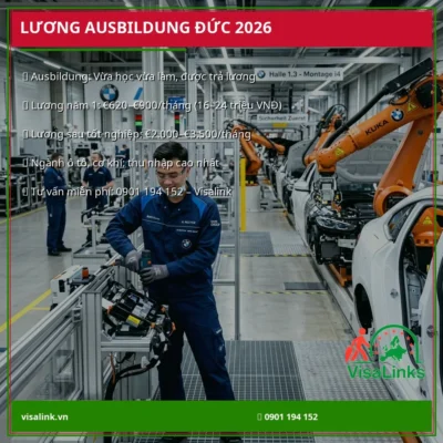 banner luong ausbildung duc tong quan visalink