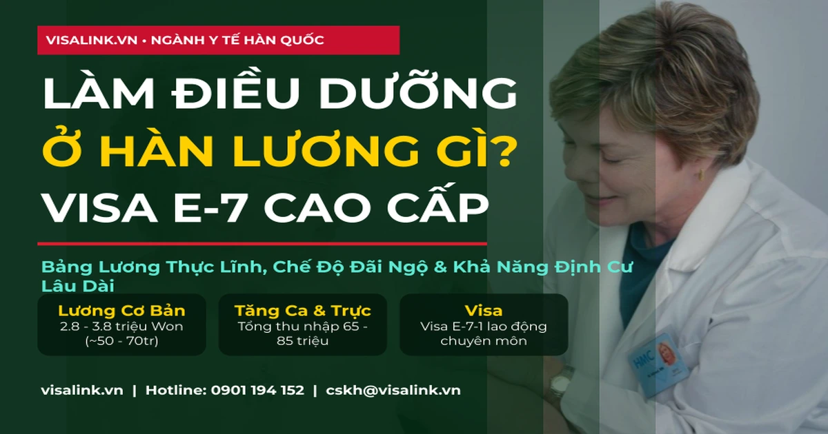 Làm Điều Dưỡng Ở Hàn Lương Bao Nhiêu - Cẩm nang chi tiết 2026 | Visalink