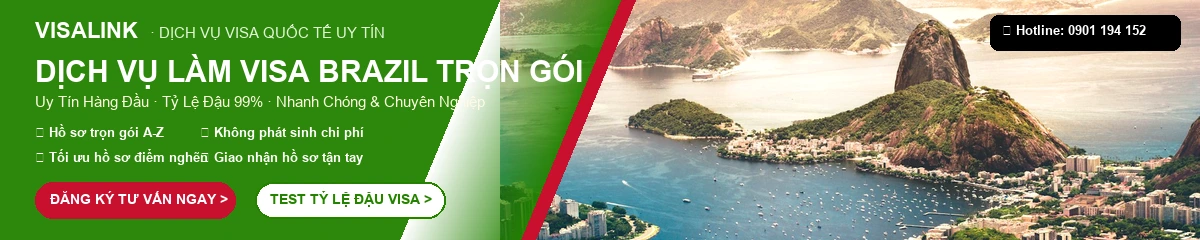 Dịch vụ làm visa Brazil trọn gói uy tín tỷ lệ đậu 99% - Visalink
