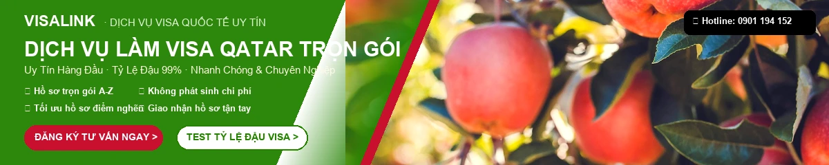 Dịch vụ làm visa Qatar trọn gói uy tín tỷ lệ đậu 99% - Visalink
