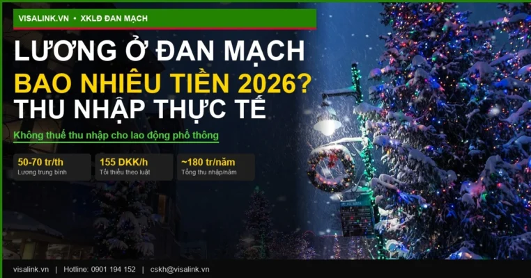 dan mach luong bao nhieu visalink v1