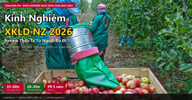 kinh nghiem xkld new zealand 2026