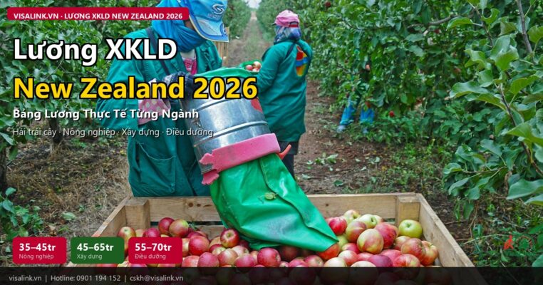 luong xkld new zealand 2026