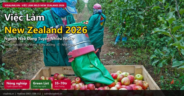 viec lam xkld new zealand 2026