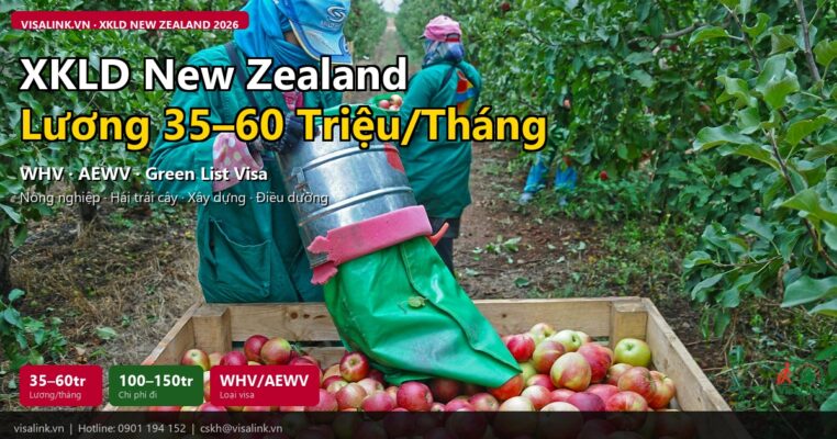 xkld new zealand 2026